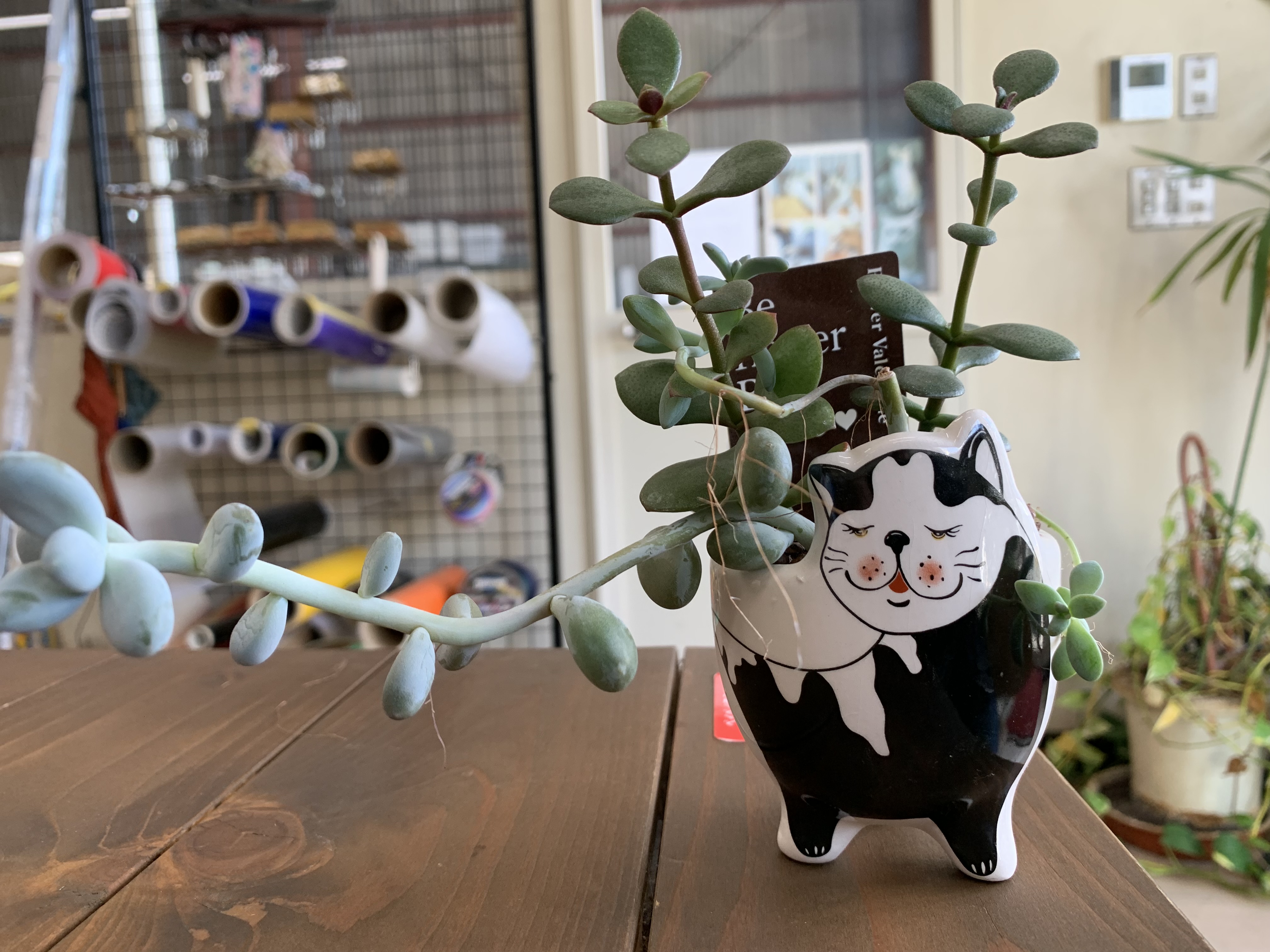 トップページに表示するトカジ自動車に関する画像2